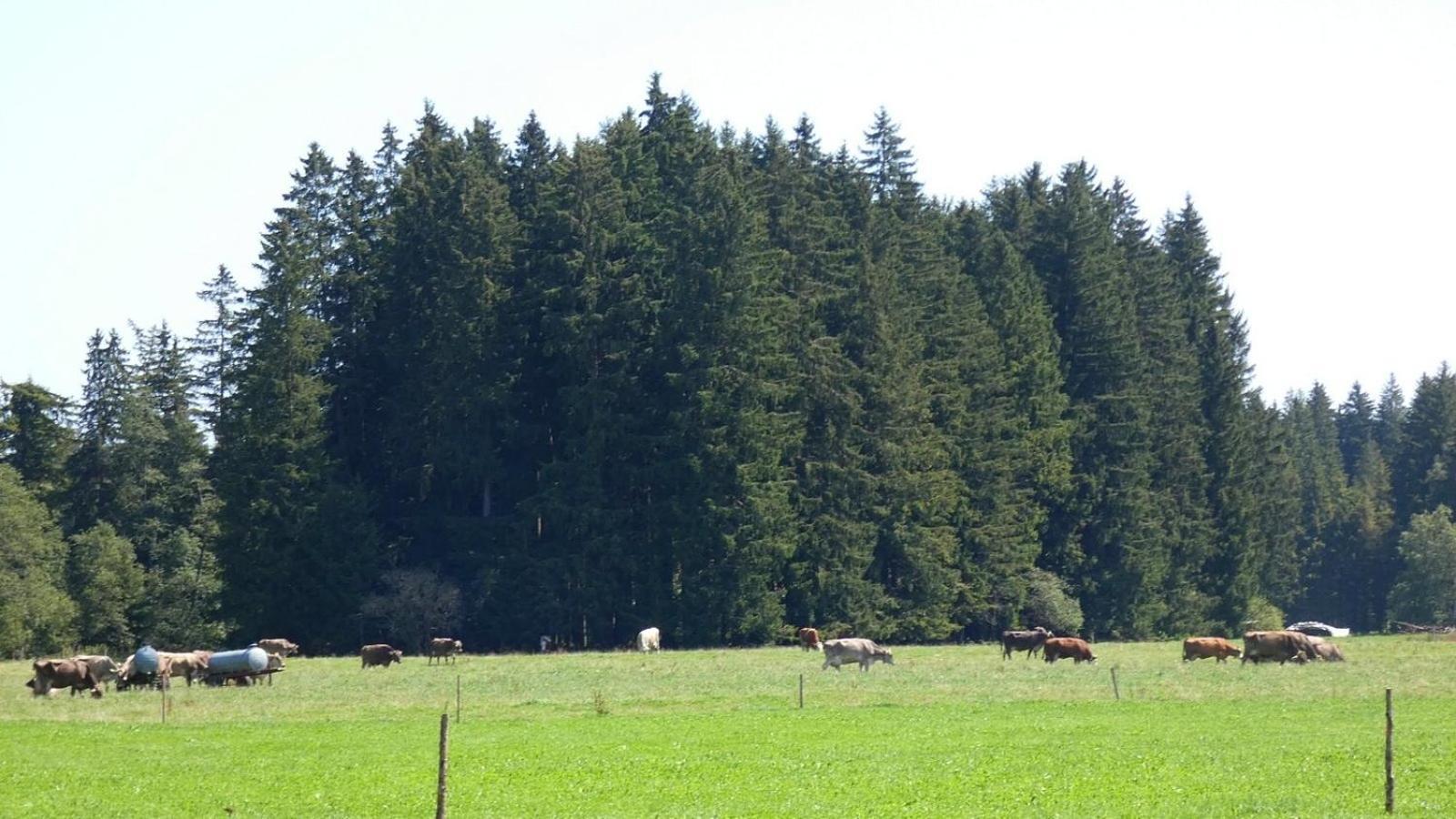Ferienwohnung Nr 5, Lechbruck-Gruendl, Allgaeu Prem 外观 照片